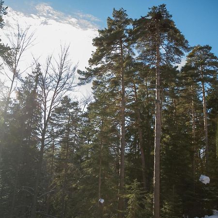 Hotel Borovets Edelweiss Eksteriør bilde