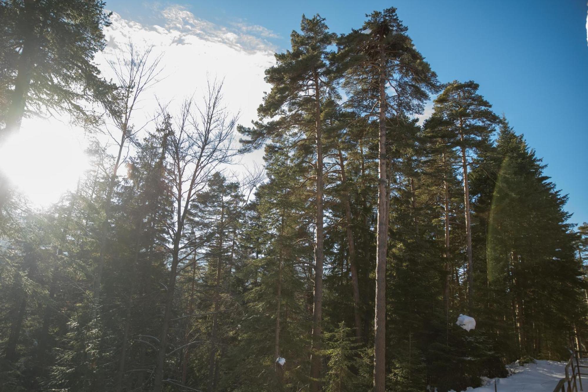 Hotel Borovets Edelweiss Eksteriør bilde