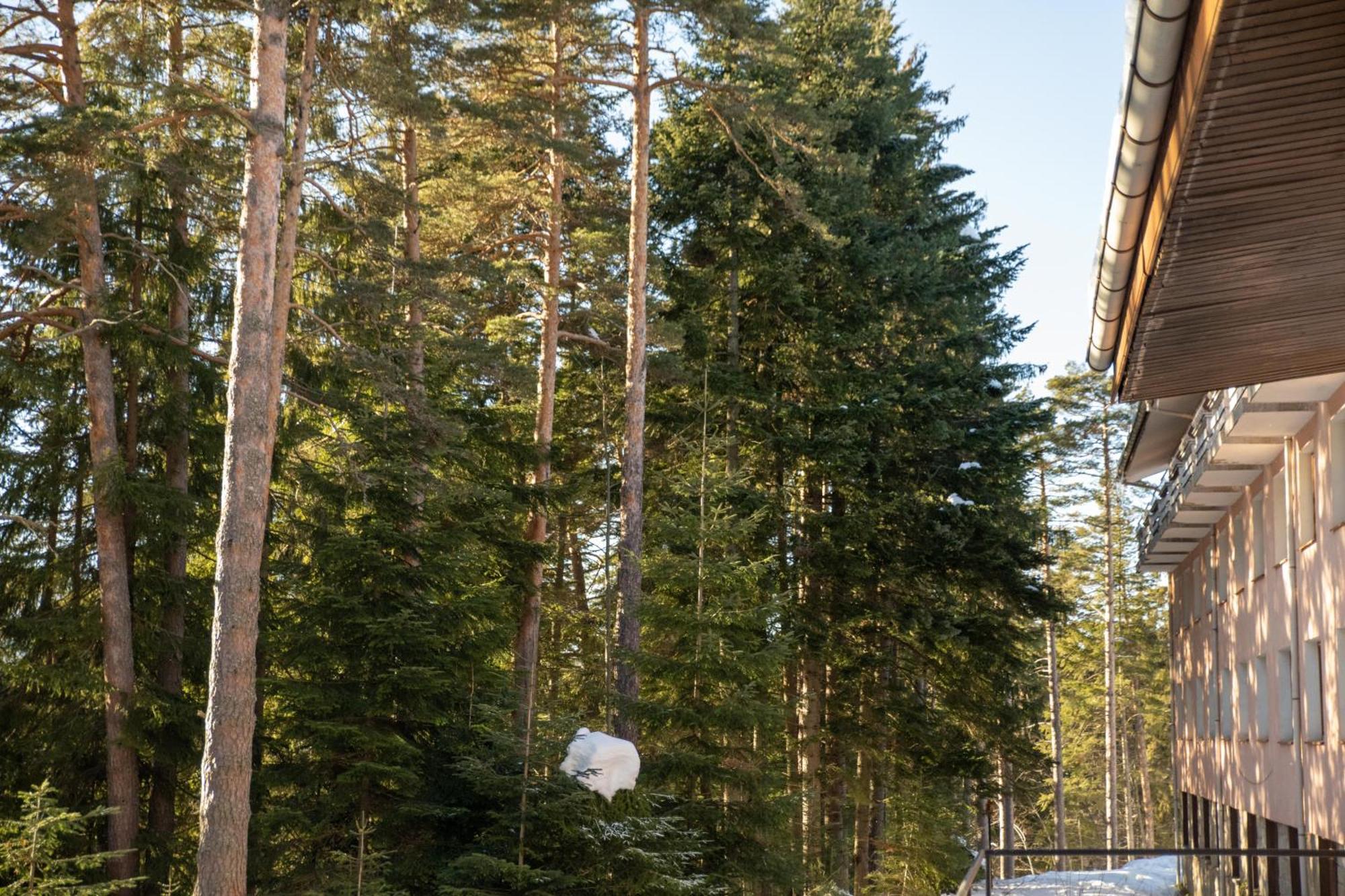 Hotel Borovets Edelweiss Eksteriør bilde