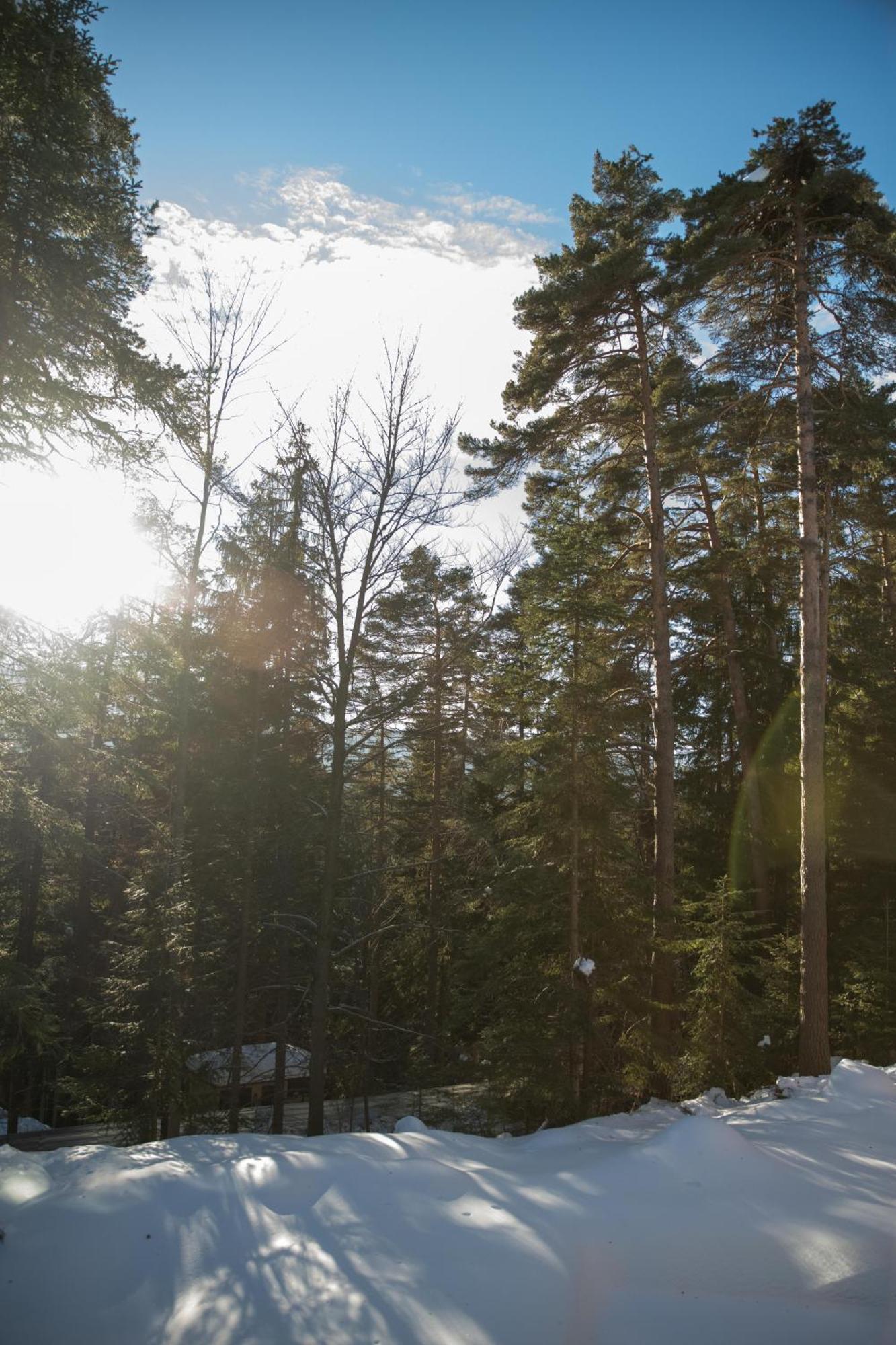 Hotel Borovets Edelweiss Eksteriør bilde